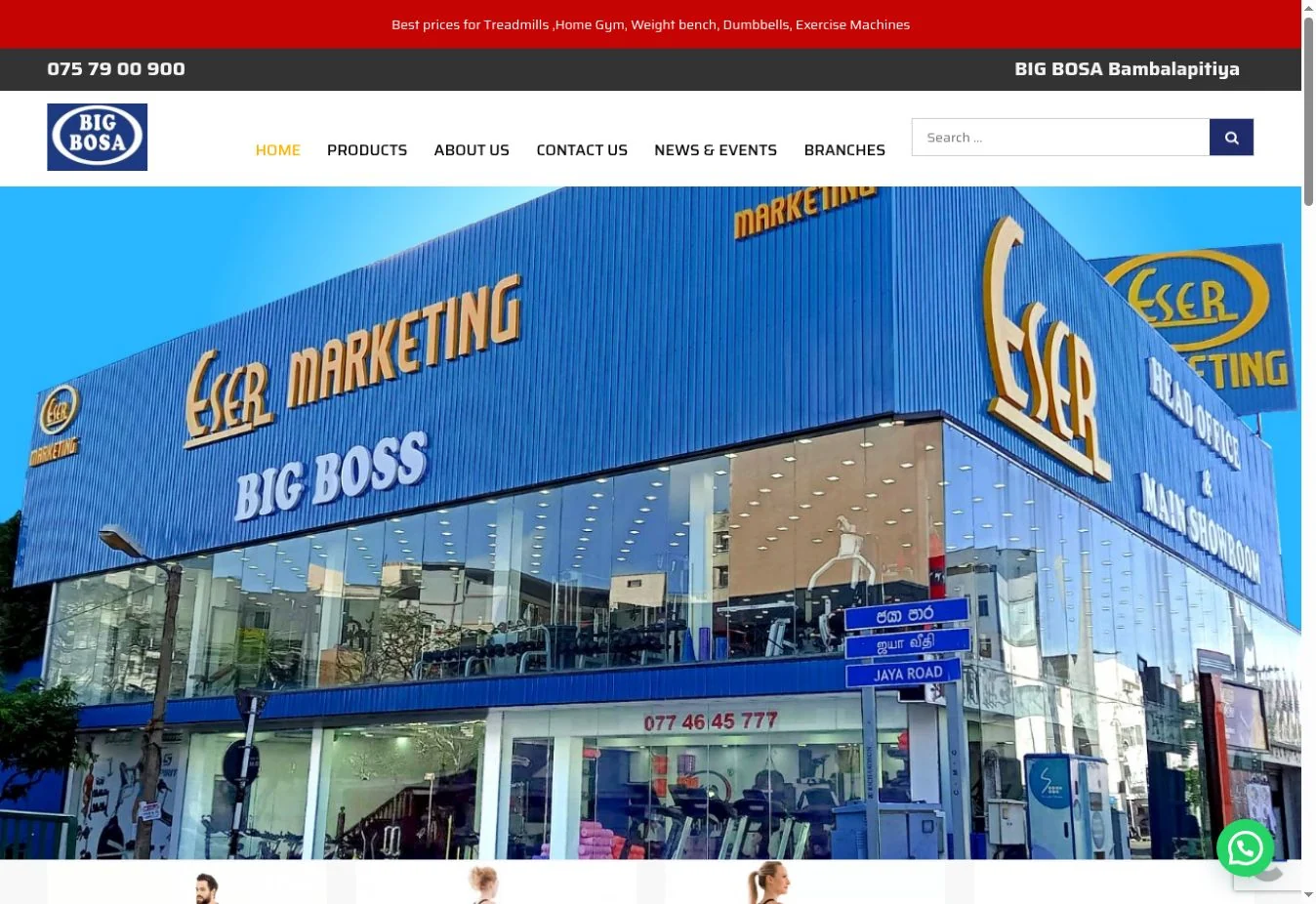 Big Bosa website homepage screenshot