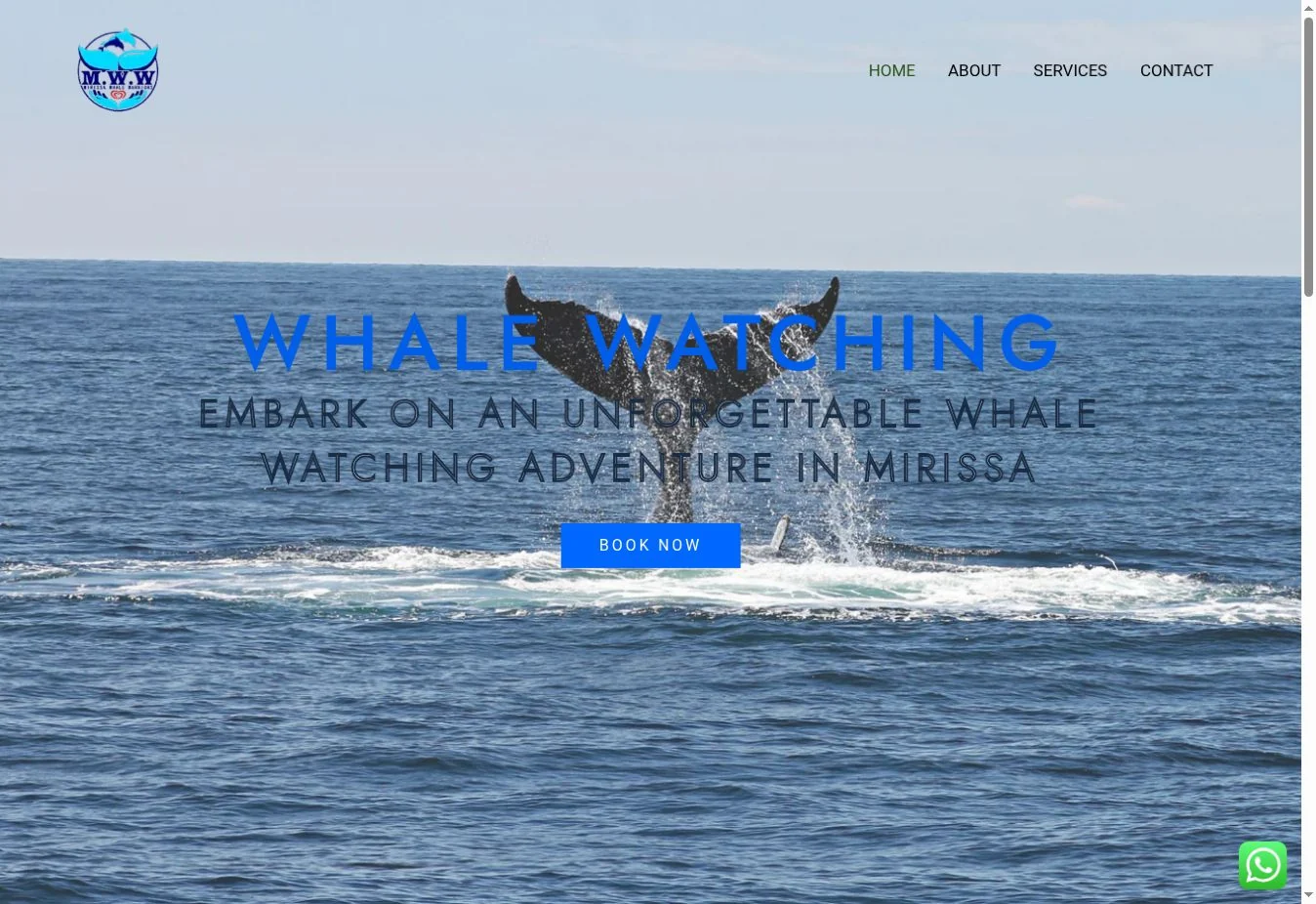 Mirissa Whale Warriors website homepage screenshot